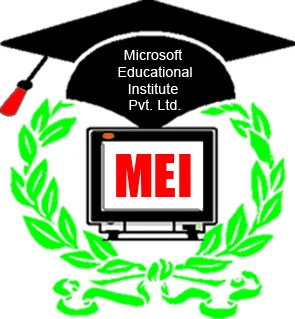 Microsoft Educational Institute Pvt. Ltd. Logo